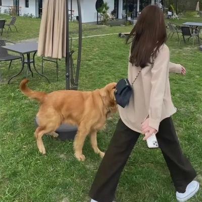 执行局长